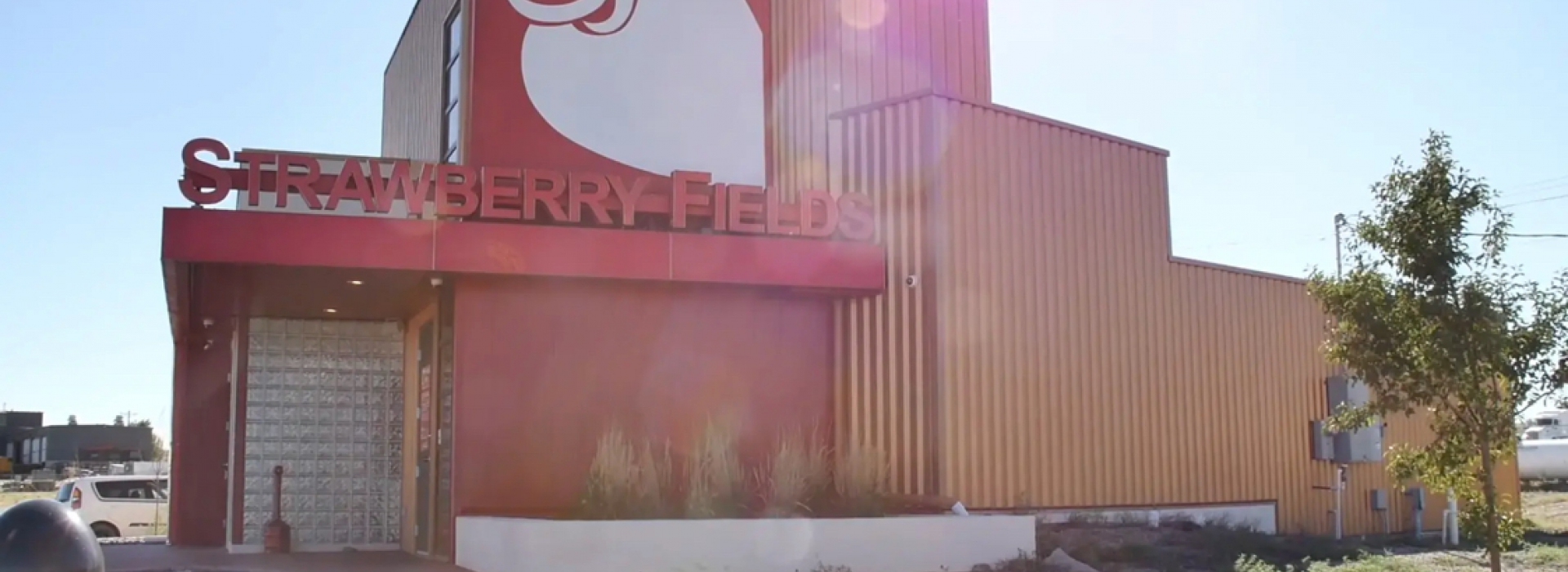strawberry fields dispensary