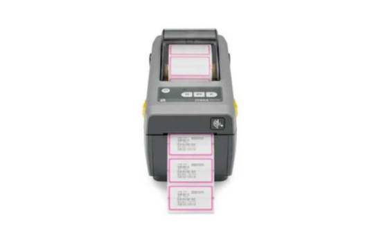 Zebra4103