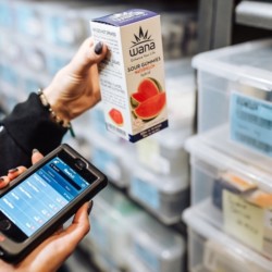 Cannabis-inventory-audit-app