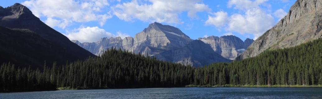 Montana cover image