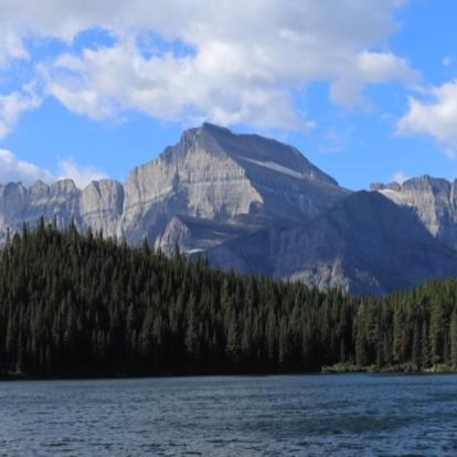 Montana cover image