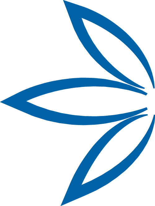 Leaf-Icon-300C