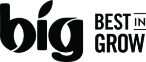 BIG Logo 01 copy