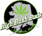 High Bush Buds 2x