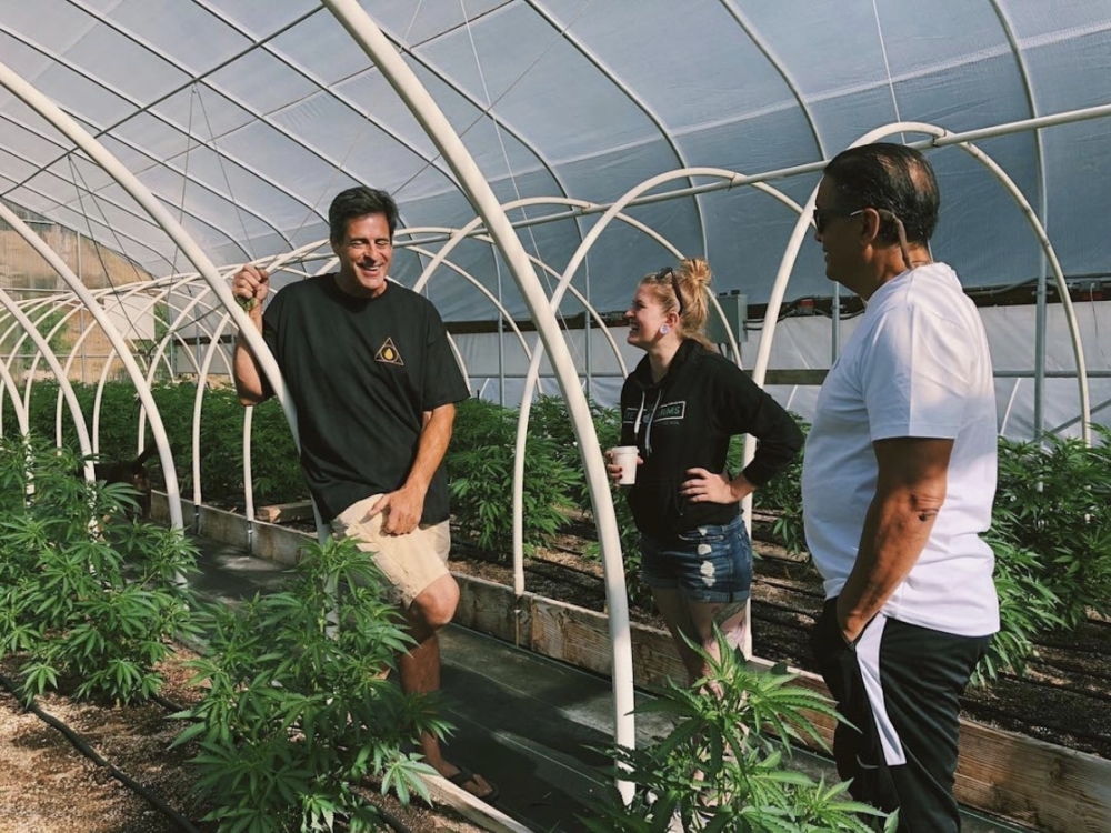 rocky mountain cannabis consulting