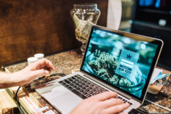 cannabis pos