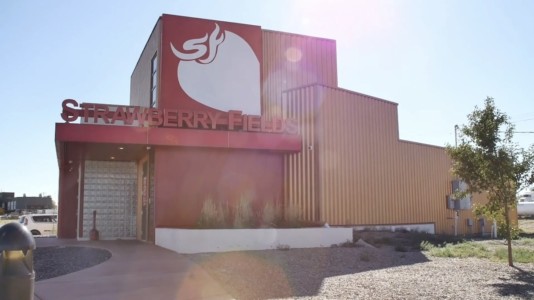 strawberry fields dispensary