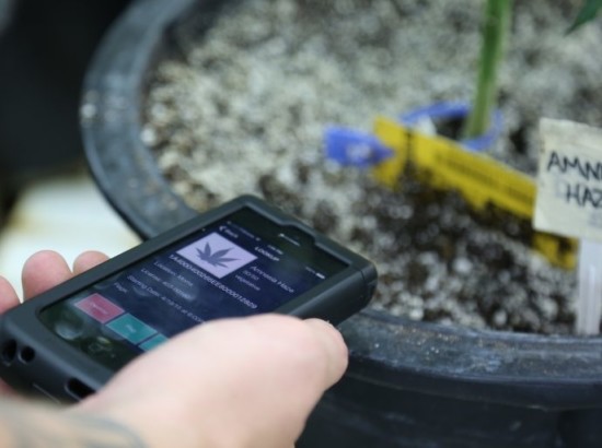 cannabis-grow-scan-tag