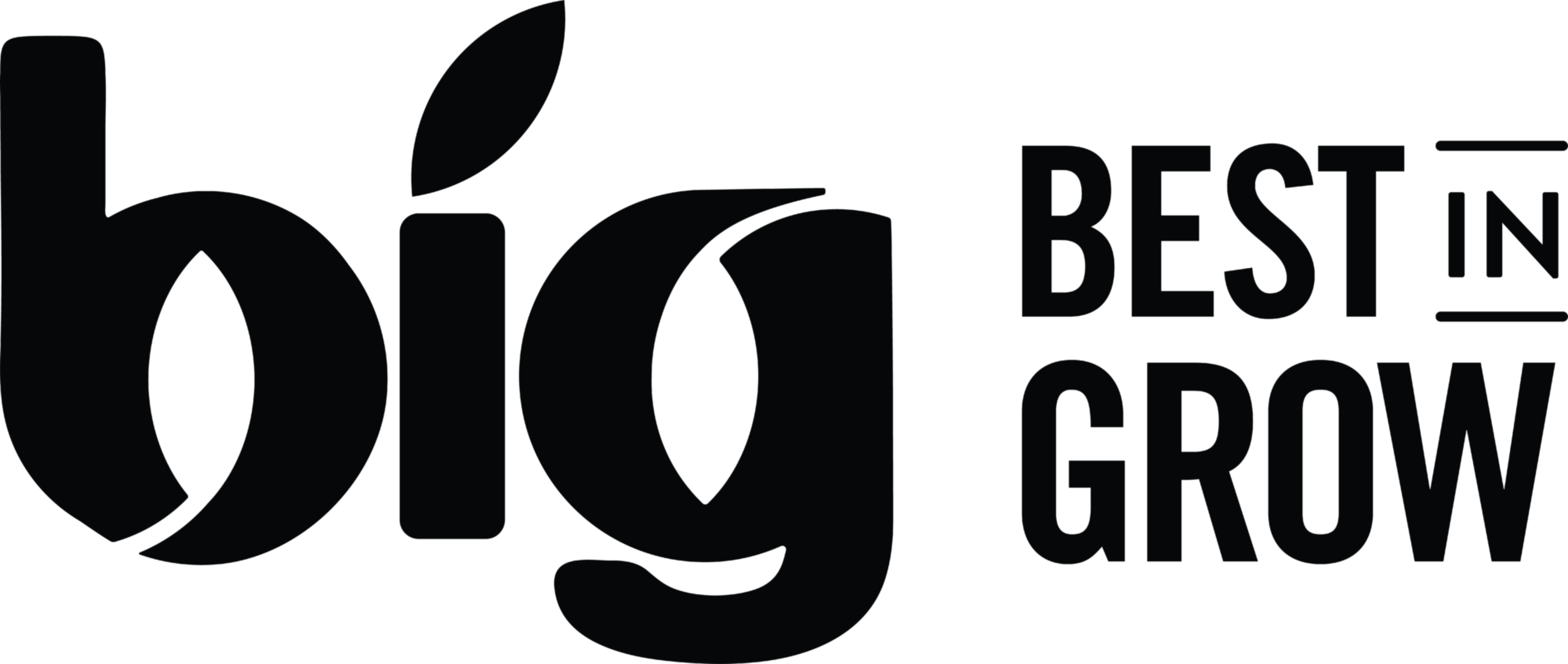 BIG Logo 01